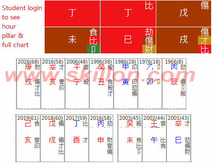 Marie Fredriksson Roxette 八字 BaZi Four Pillars of Destiny Patt Chee